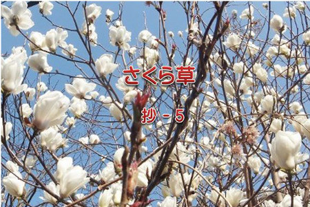 かな作品帖『与謝野晶子の歌』（歌集「さくら草」「舞ごろも」より） かな作品帖『与謝野晶子の歌』（歌集「春泥集」より12首