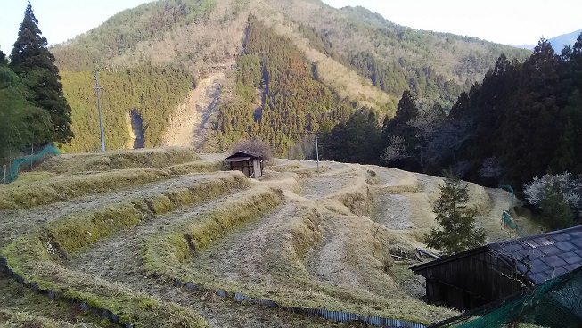 ☆ 雪の残る 熊野古道小辺路を完走:　３月１７日（金）～２０日（月・祝）_e0371039_033277.jpg