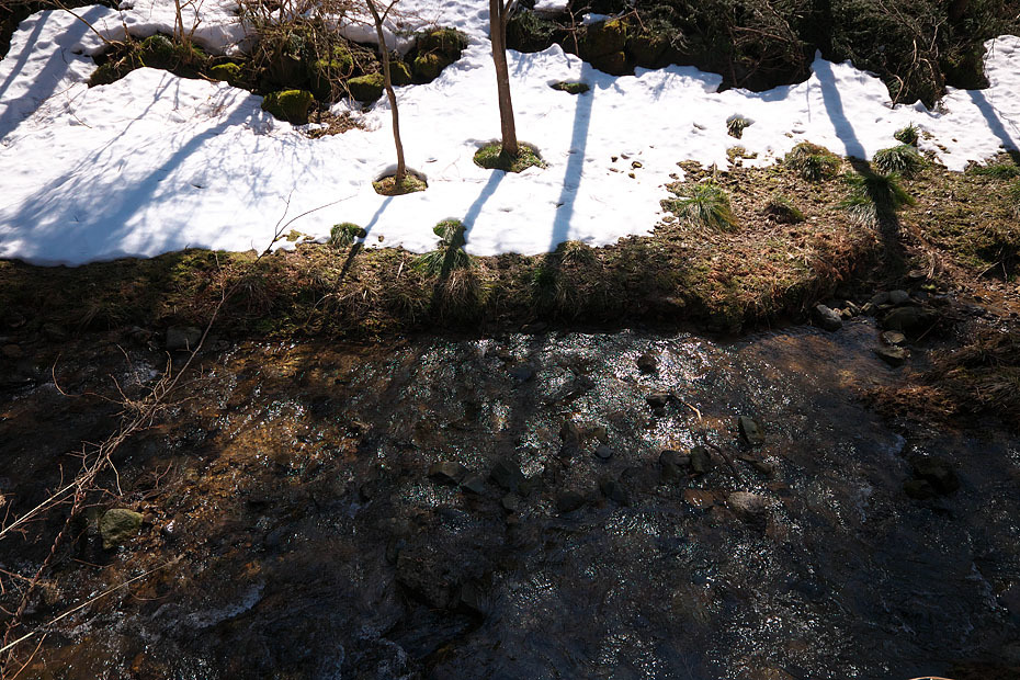 c0067040_22553688.jpg