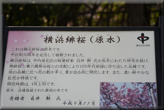 f0363141_1034246.jpg