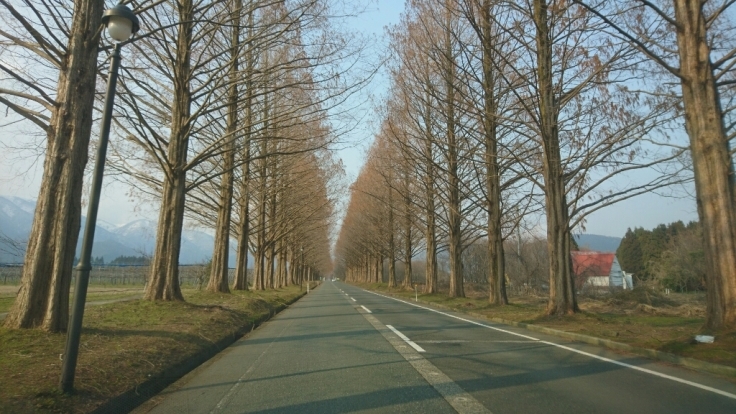 b0148050_18523252.jpg