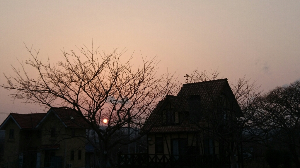 b0148050_18523954.jpg