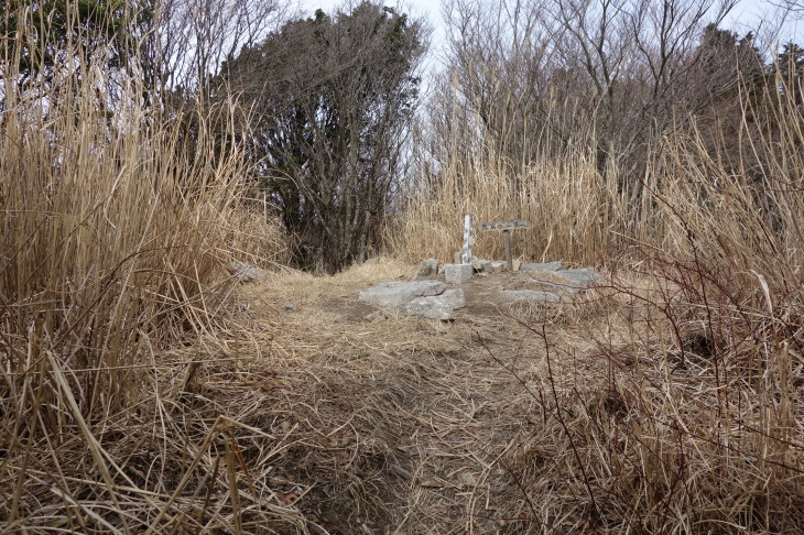 d0345153_22073764.jpg