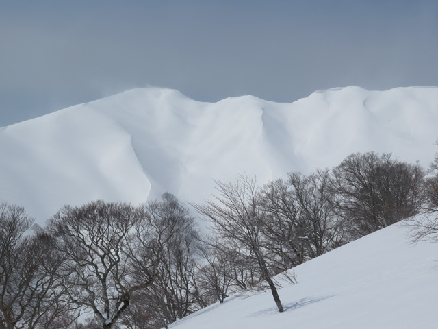 2017年3月18日　湯殿山（1,500m･山形県西川町）･姥ヶ岳（森林限界まで）_c0116856_20565236.jpg