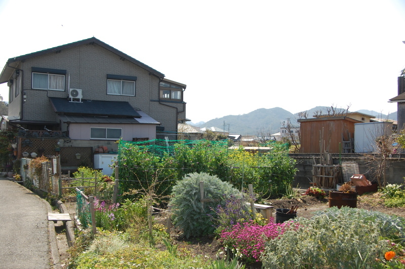 c0108460_19595486.jpg