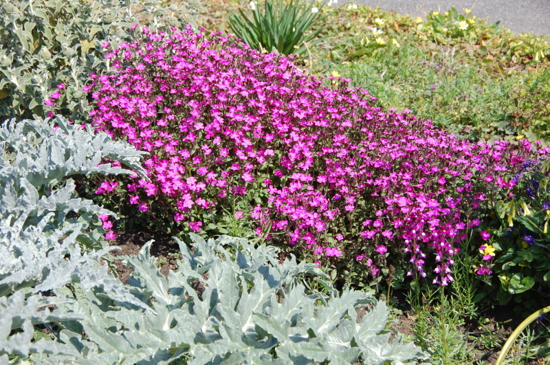 c0108460_20070373.jpg