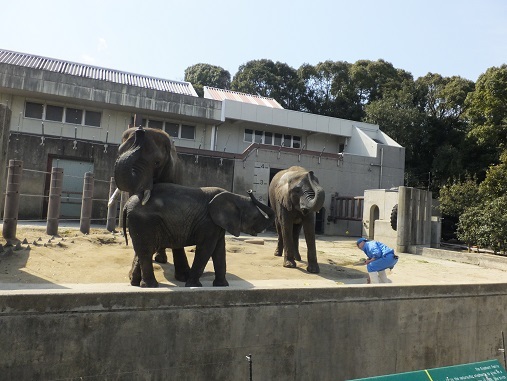 忍耐力　鍛えてます(*^^)_e0272869_22390056.jpg