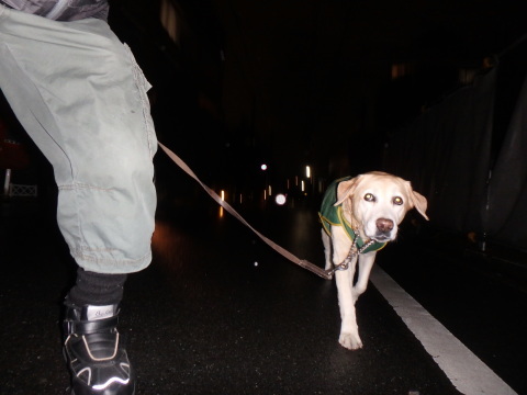 f0052277_02064612.jpg