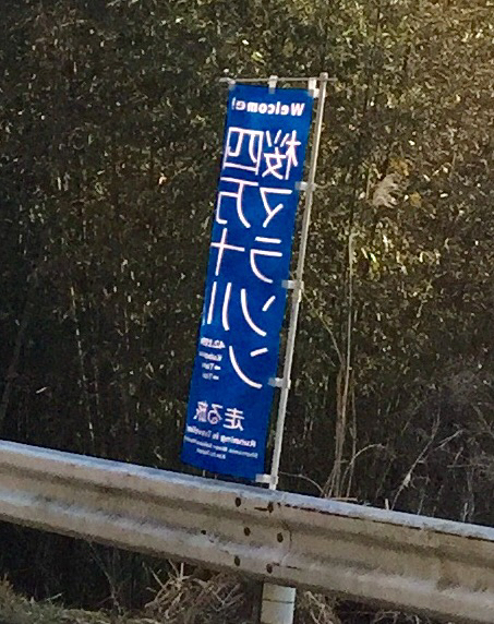 四万十川桜マラソン大会_c0223091_08025208.jpg