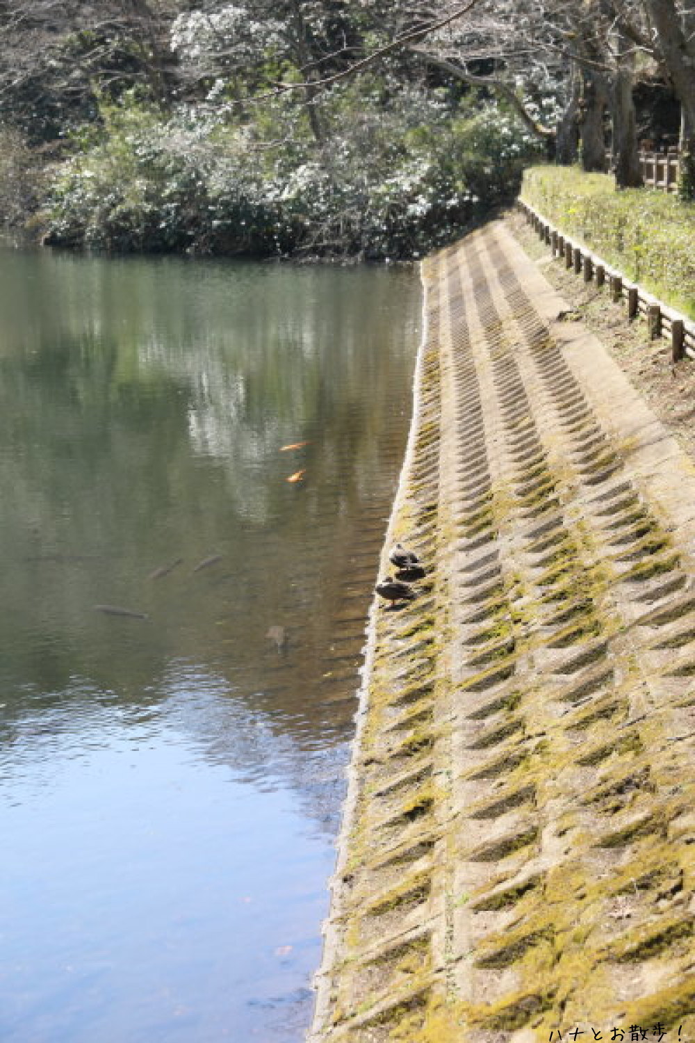 b0275998_14080751.jpg