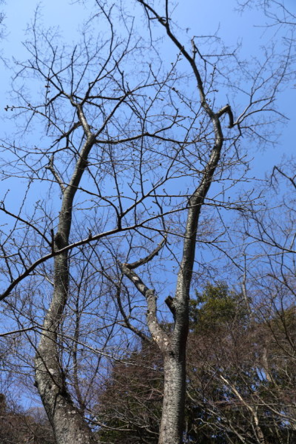 b0275998_14081142.jpg