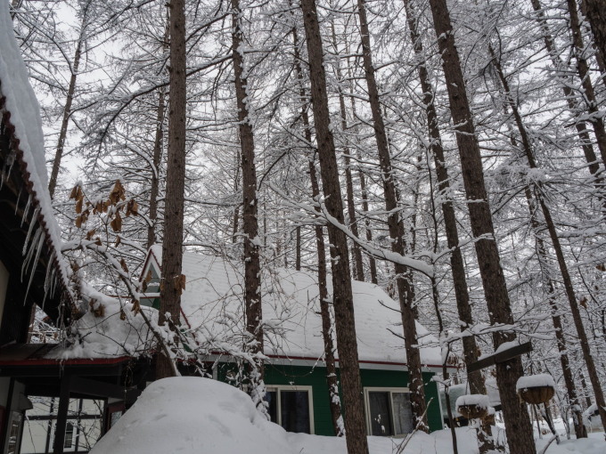 昨夜から今朝にかけ雪、昼から晴れ・・そして、ついに屋根から落雪!_f0276498_19363233.jpg