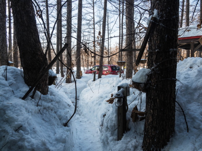 昨夜から今朝にかけ雪、昼から晴れ・・そして、ついに屋根から落雪!_f0276498_19414255.jpg