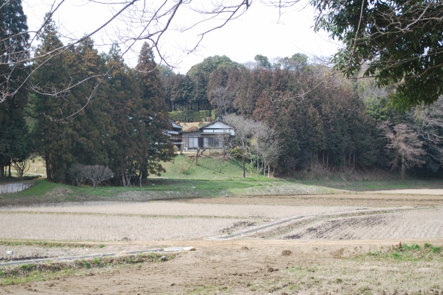 e0025300_21293086.jpg
