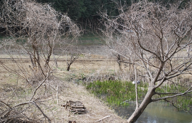 e0025300_21385165.jpg
