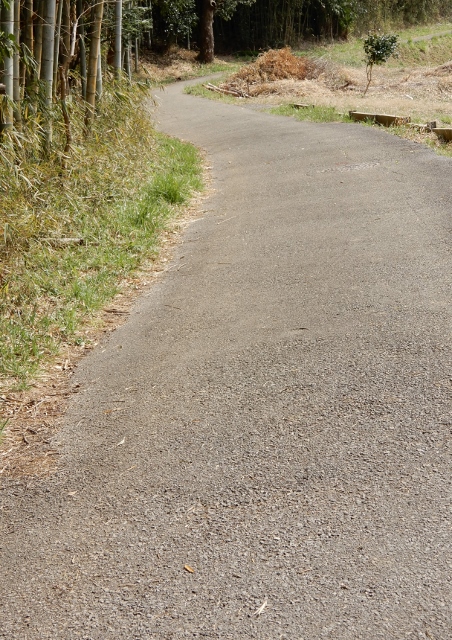 e0025300_2142915.jpg
