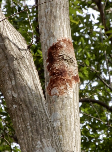 e0025300_2153886.jpg