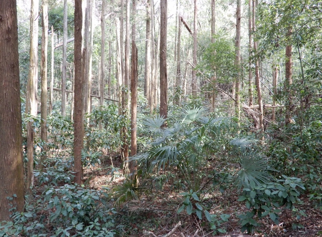 e0025300_2155038.jpg