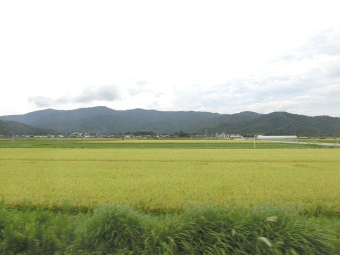 d0004301_21495821.jpg