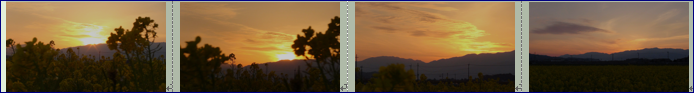 f0231709_310492.png