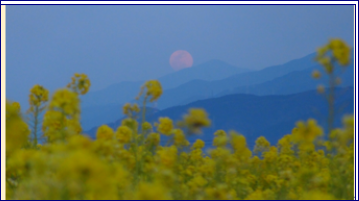 f0231709_3135225.png