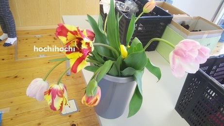 f0151213_21020991.jpg