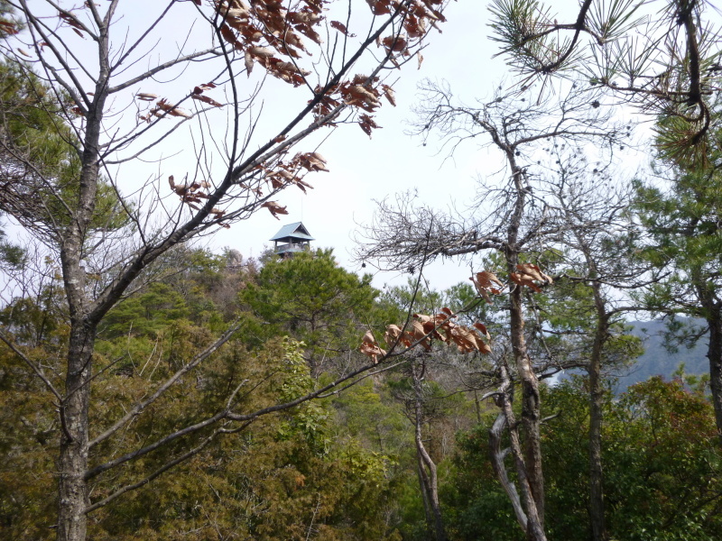 今日のお気に入り写真　明王山 (380M) に登る_d0170615_18541345.jpg