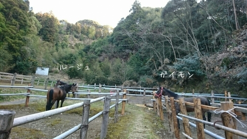 b0187620_20423471.jpg
