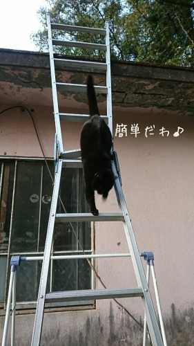 b0187620_20432740.jpg