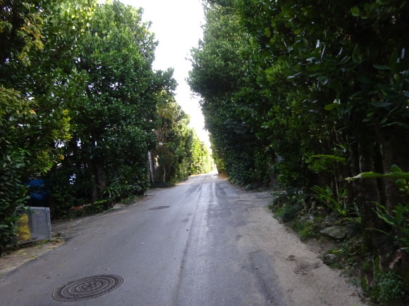 b0163121_22310050.jpg