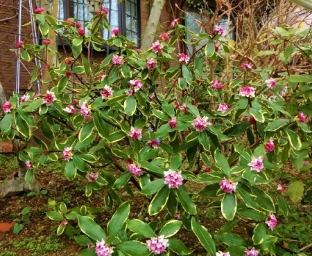 c0204121_01030691.jpg