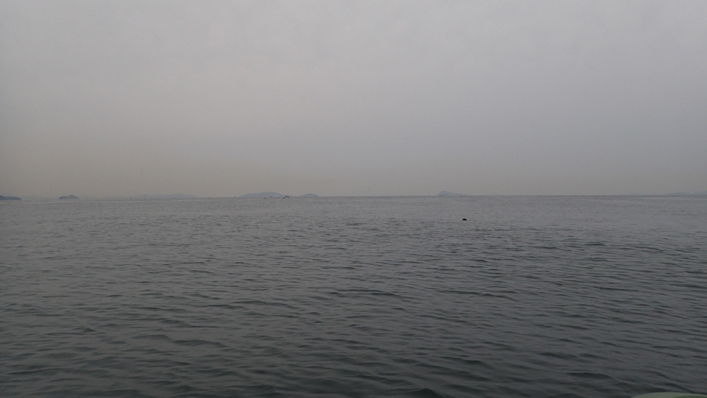 d0171823_21040019.jpg