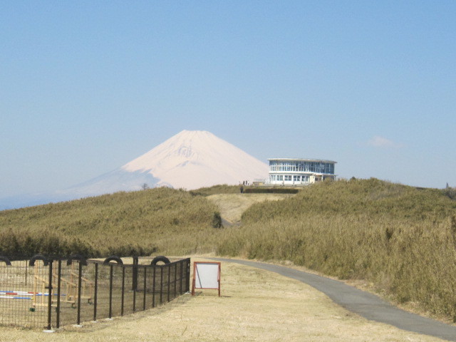 ♪２０１７春を求めて★花よりグルメ_d0162225_10065953.jpg