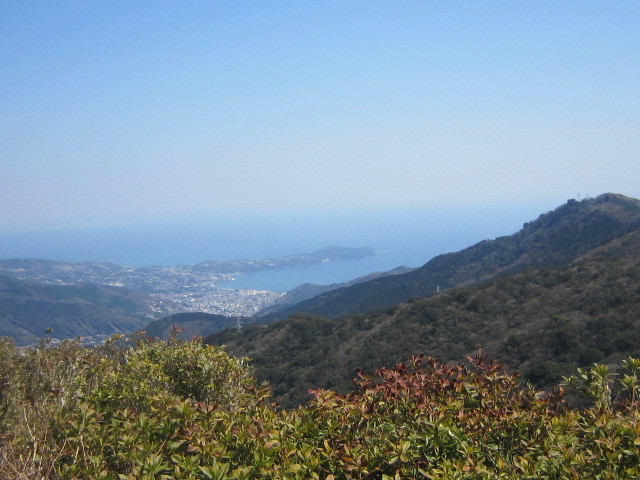 d0162225_10072009.jpg