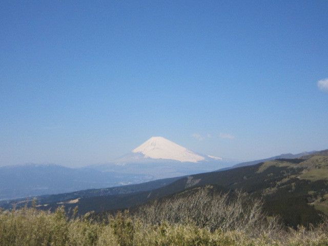 ♪２０１７春を求めて★花よりグルメ_d0162225_10074328.jpg