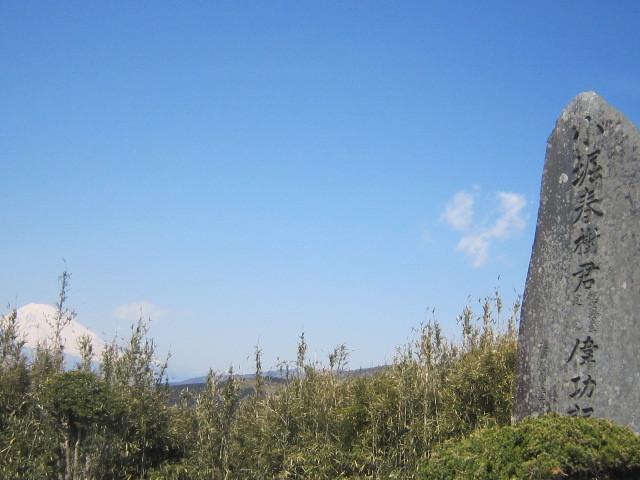 d0162225_10084615.jpg