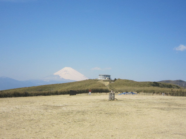 ♪２０１７春を求めて★花よりグルメ_d0162225_10091919.jpg