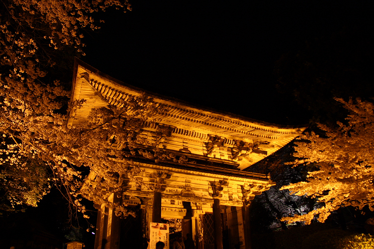 大津の桜 －三井寺・春のライトアップ（中編）－_b0169330_23182267.jpg