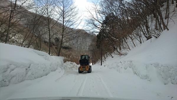 まだまだ雪景色!_c0213830_11454582.jpg