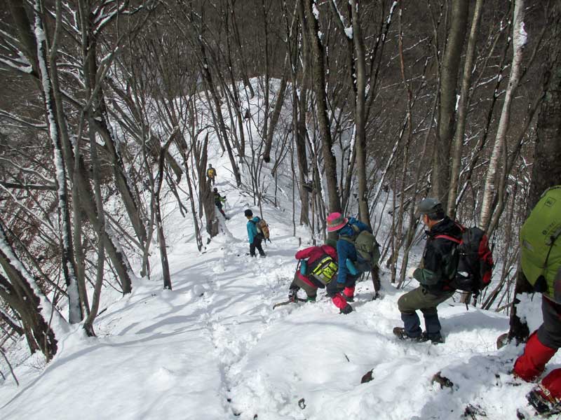 雪の高田山　アイゼン付けてのやせ尾根歩き。_d0000031_1575245.jpg