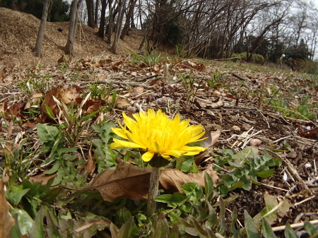 c0353632_16312062.jpg