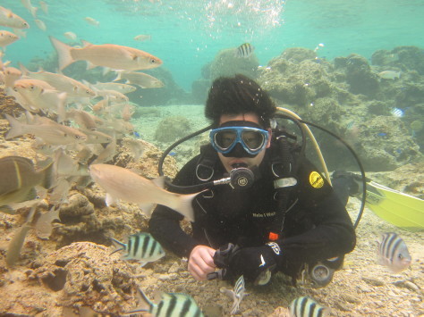 3月23日海Friendダイビングに、親子ダイビング_c0070933_22512602.jpg