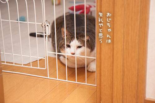 未知との遭遇_d0355333_11352361.jpg