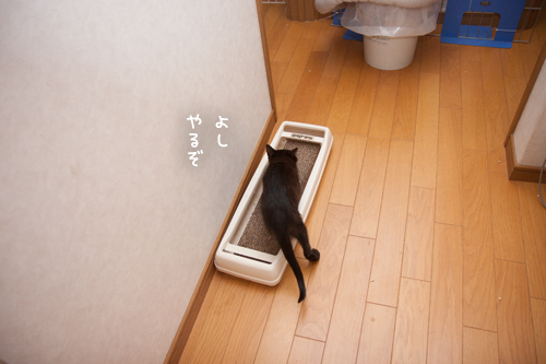 やればできるの_d0355333_11352463.jpg