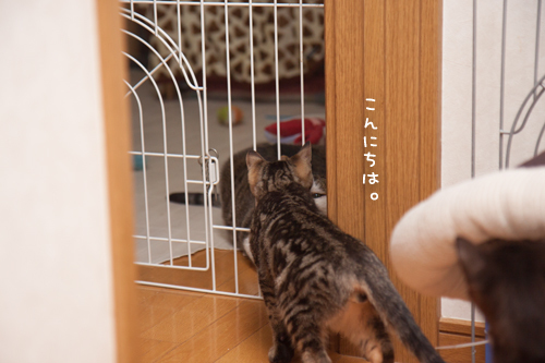 やればできるの_d0355333_11352474.jpg
