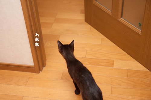 探検のはじまり_d0355333_11352696.jpg