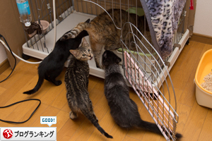えええ?!そうくるか_d0355333_11353147.jpg