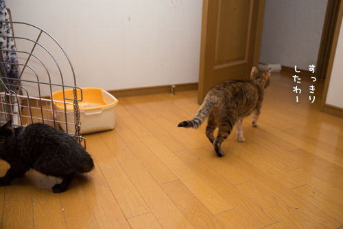 えええ?!そうくるか_d0355333_11353151.jpg