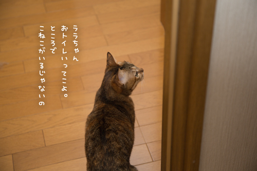 えええ?!そうくるか_d0355333_11353176.jpg