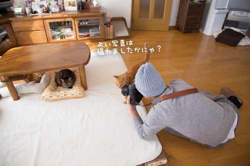 ケニアドイさんがやってきた_d0355333_11353442.jpg